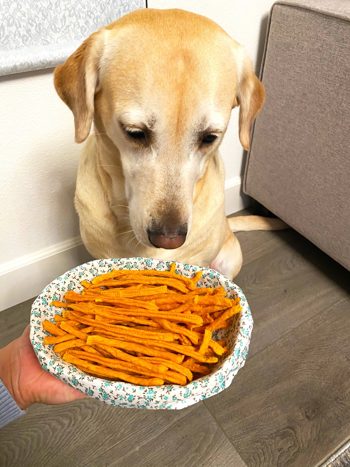Chicken Carrot Yolk Strips