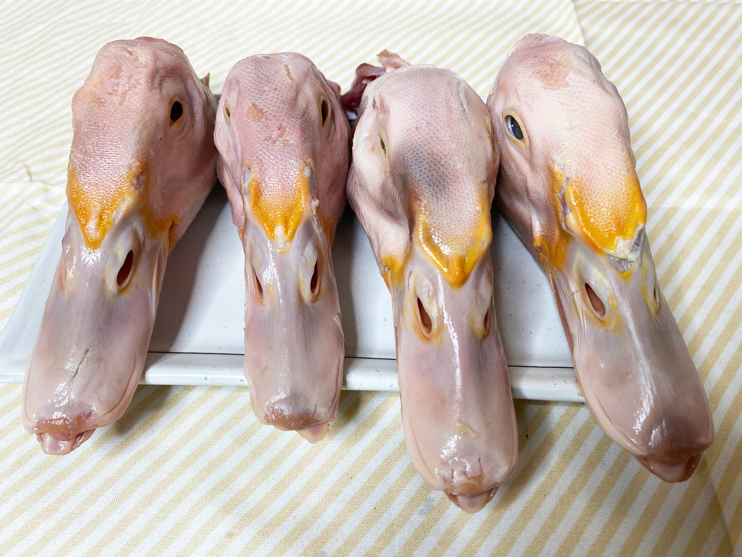 Duck Heads