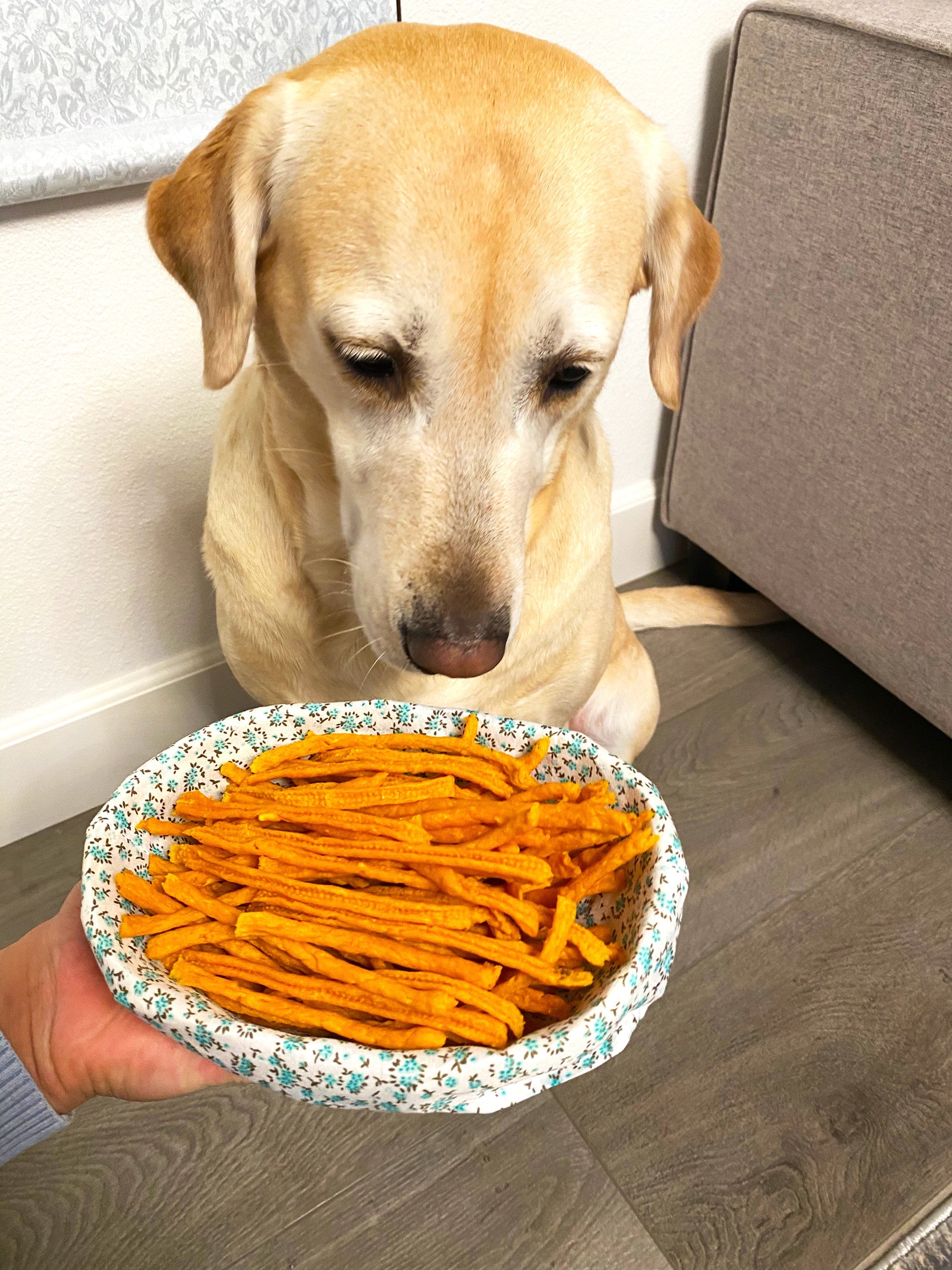 Chicken Carrot Yolk Strips Sparkle Pet